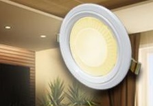 Luminaire-and-Light in One Downlight
